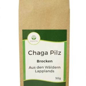 Chaga Pilz kaufen