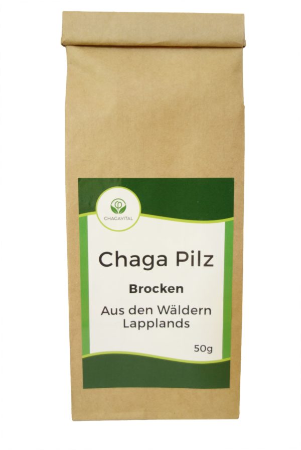 Chaga Pilz kaufen