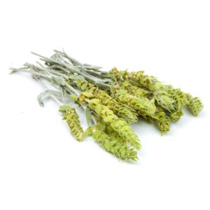 Bulgarischer Bergtee 100g