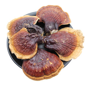 Huaier Pilz Extrakt -Trametes robiniophila Hochdosierte Kapseln 500mg