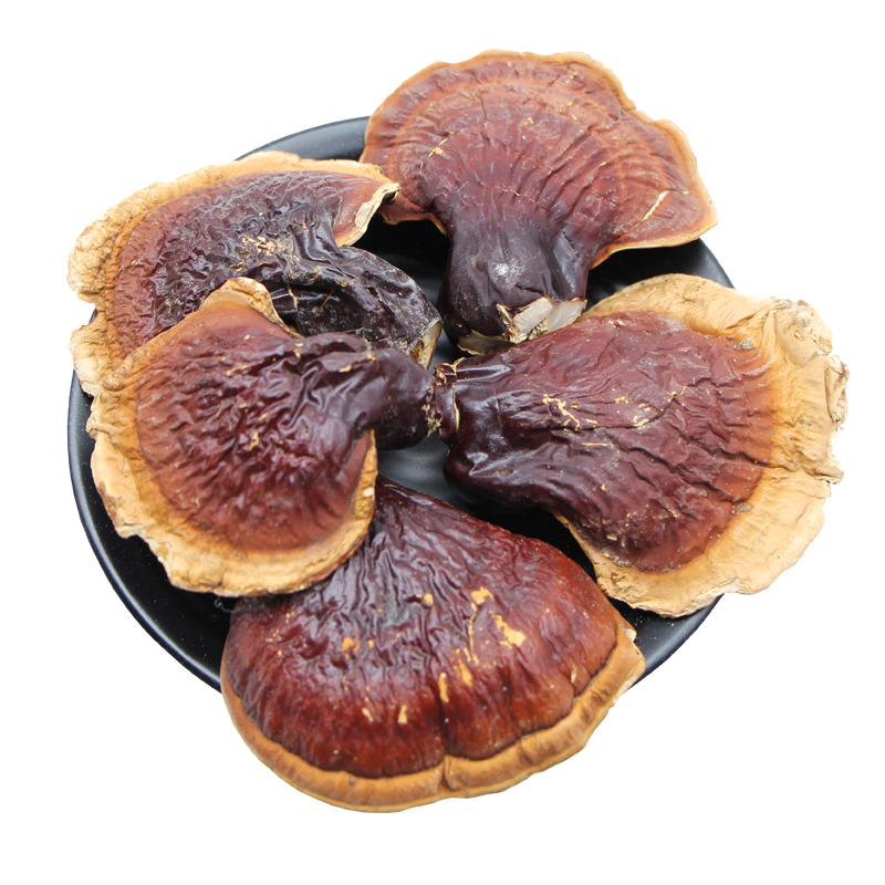 Huaier Pilz Extrakt 100 Gramm -Trametes robiniophila Murr