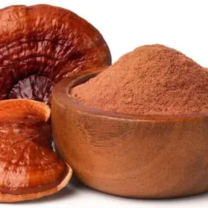 Reishi Extrakt 100 Gramm + 1 Gratis Packung