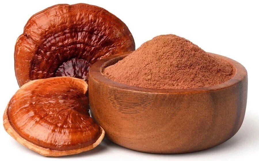 Reishi Extrakt 100 Gramm + 1 Gratis Packung